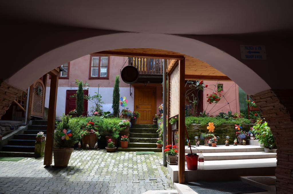 La Teo Pensiune Si Pivnita Sighişoara Exteriör bild